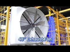 Улучшить циркуляцию воздуха с помощью 121139 м3/ч птицефан и двигателя PMSM