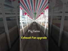 Объем промышленного выхлопного вентилятора 72 дюйма Диаметр лезвия IP55 степень защиты