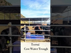 Поголовье автоматическое Waterer