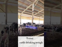 LLDPE животноводческий автополивчик с 3 комплектами 220V300W дисков нагрева для скота