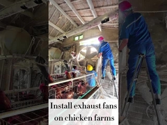 Переменная скорость 120 см НАПРАВЛЕННЫЙ Выхлопный вентилятор 56,4 м3/ч Объем воздуха 48000 м3/ч Способность воздушного потока