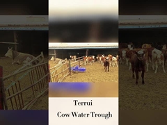 Автоматический полив для скота с высотой питьевой воды 250 мм и скоростью потока LLDPE