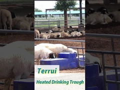 Резервуар для воды для скота из голубого пластика 85L