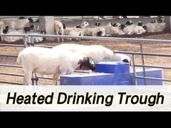 Высокопроизводительный коровьи поливник мощностью 260 л и высотой питья 190 мм