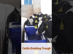 120 л/мин Поток Противоустойчивый полиэтиленовый коровьи водопровод