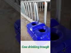 Высокая скорость подачи воды для коров для легкого полива на высоте питья 450 мм