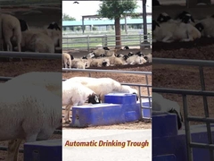 Поток 120 л/мин Коровая питьевая яма 150 л Мощность сельскохозяйственного производства