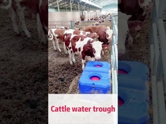 LLDPE Blue Cow Waterer - идеальное решение для управления животноводством