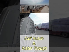 220*145*145 см прямоугольные молочные телятные колыбели для улучшения здоровья и благополучия