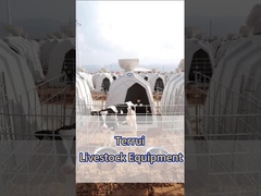 Белый полиэтиленовый молочный телячий ящик - необходимое оборудование для молочных ферм