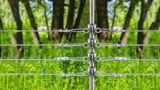 Защитите свой скот: как установить Т-образные изоляторы на электрическое ограждение