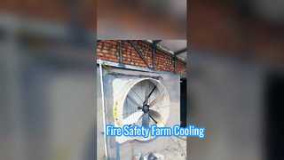 Высокоскоростная вентиляция: промышленные вытяжные вентиляторы Terrui в действии