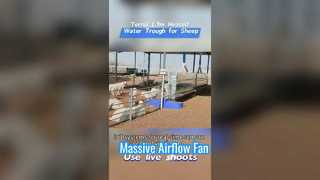 Корыто для воды для скота высотой 1,7 м с подогревом, изготовленное из прочного пластикового корпуса, выдерживает экстремально холодные условия